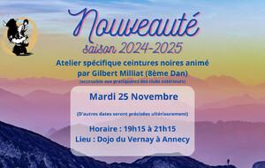 Cours spécifiques ceintures noires