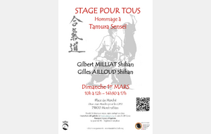 Stage pour tous - Hommage à Tamura Senseï